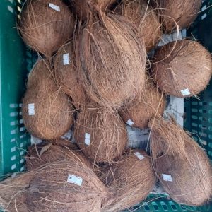 Dried Coconut without the shell