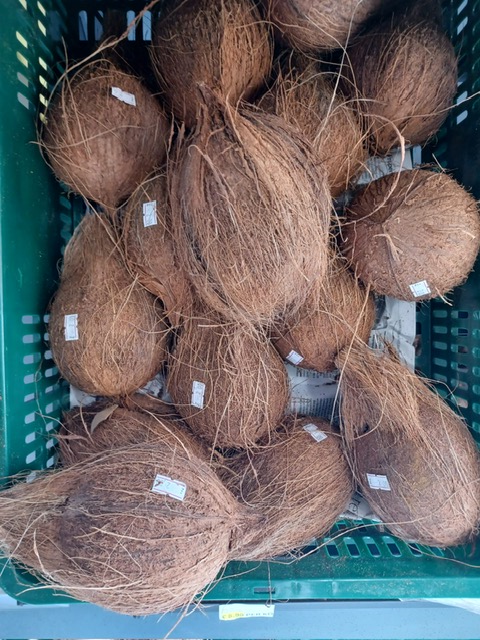 Dried Coconut without the shell