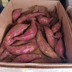 Sweet Potatoes