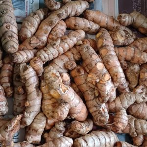 Fresh Turmeric